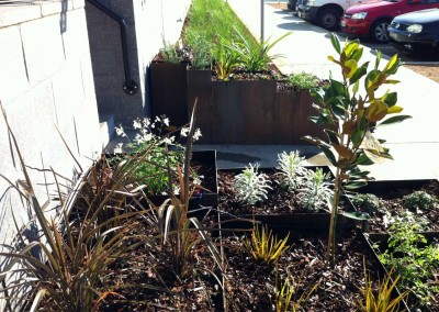 Planted metal boxes featuring natives