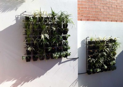 Vertical garden in Sydney