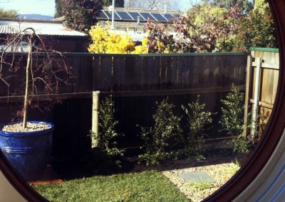 Window view of a garden in Curtin