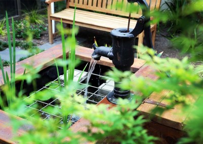 Creative water feature and plants