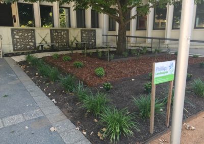 Jasmine, pavers, screens designed by Phillips Landscapes