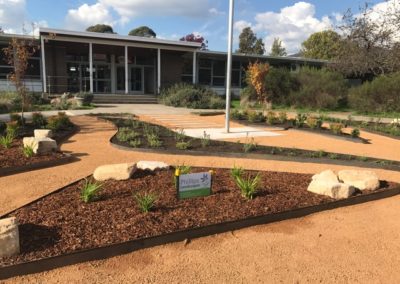 Landscaped entry garden for Majura Primary School, Canberra