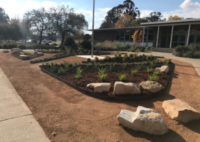 Landscaped entry garden for Majura Primary School, Canberra