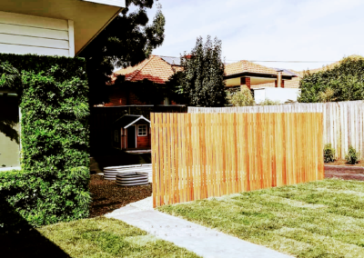 Vertical garden on wall installed by Phillips Landscapes